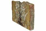 Tall, Red And Yellow Jasper Bookends - Marston Ranch, Oregon #202303-1